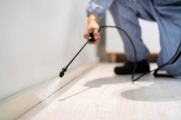 Licensed Pest Control service in Leechburg, PA - Show Me Pest Control