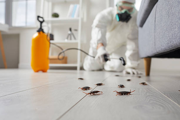 Post-Treatment Bed Bug Interceptor Monitoring in Leechburg